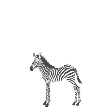 fototapet zebror svart och vitt